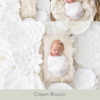 037-Cream Bloom digital newborn backdrop