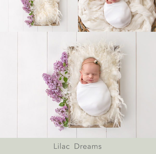 Newborn Digital Backdrop 038 - Lilac Dreams